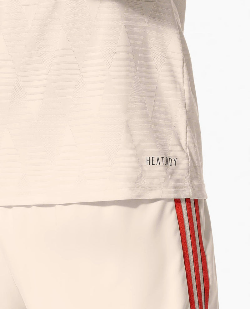 Camiseta Bayern de Múnich Third 24/25 Versión Jugador