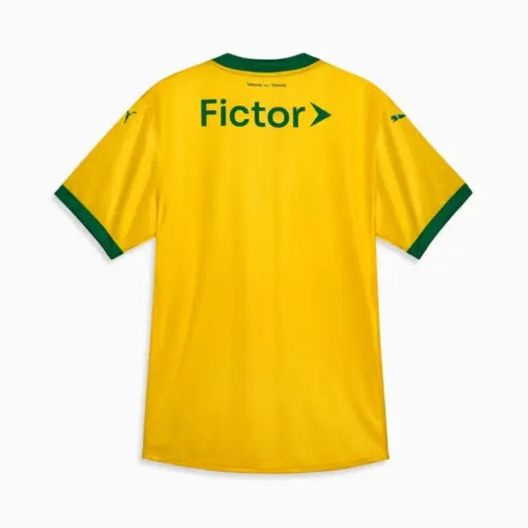 Camiseta Palmeiras Third 25/26